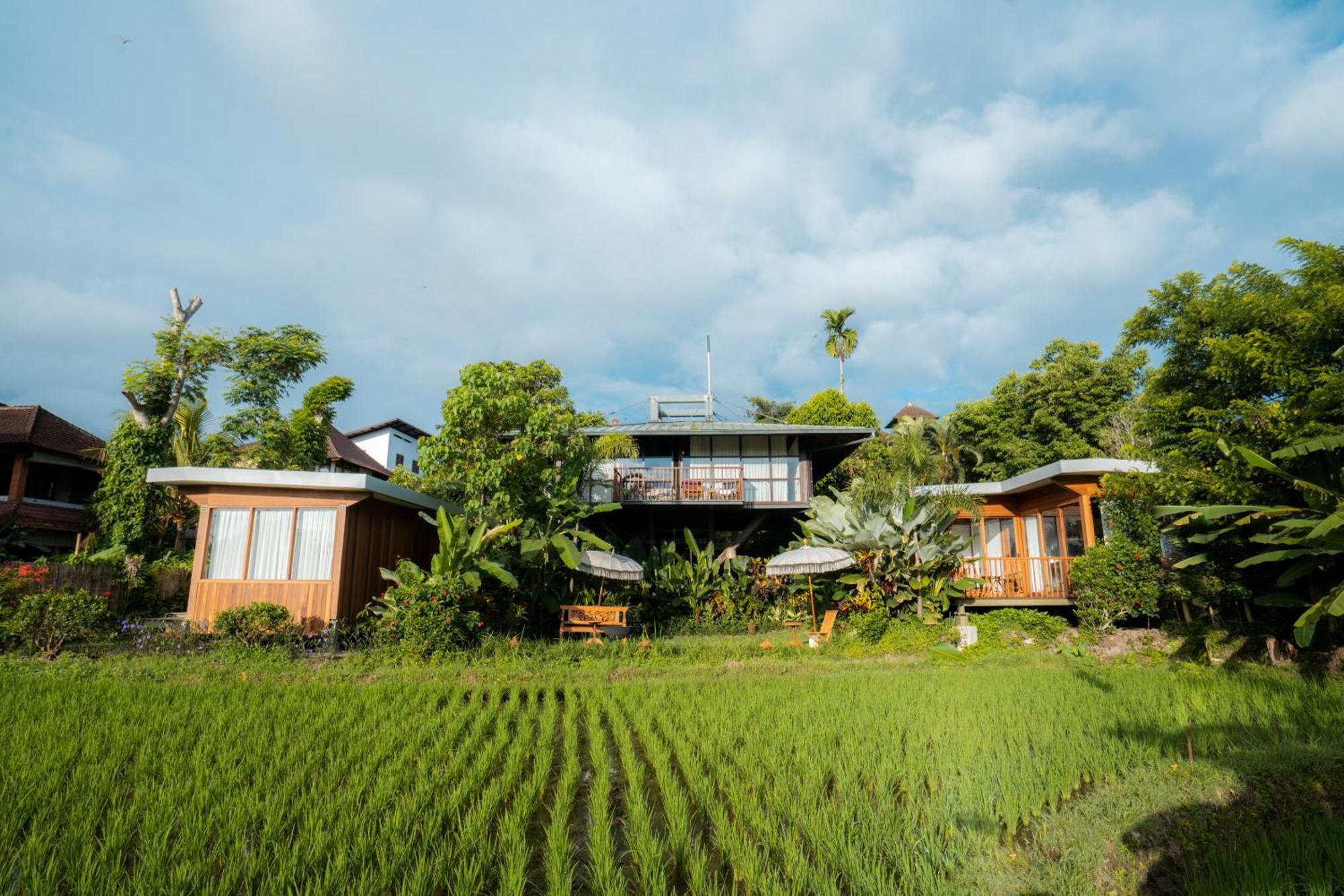 Gruen Ubud Exterior foto