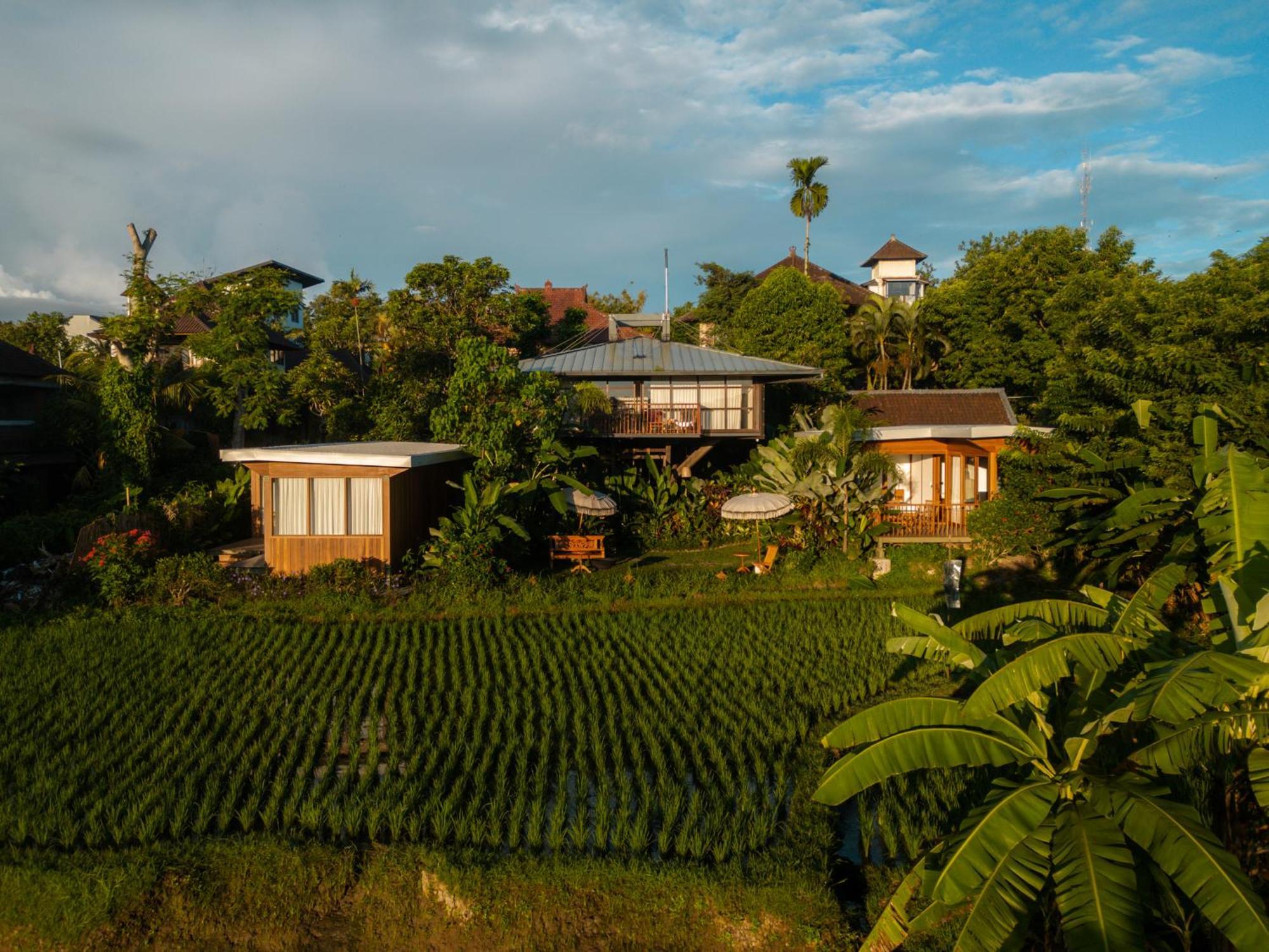 Gruen Ubud Exterior foto