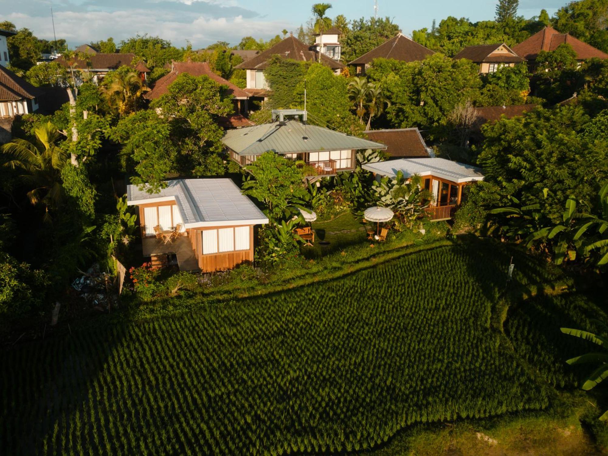 Gruen Ubud Exterior foto